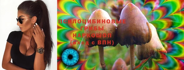 прущая мука Переславль-Залесский