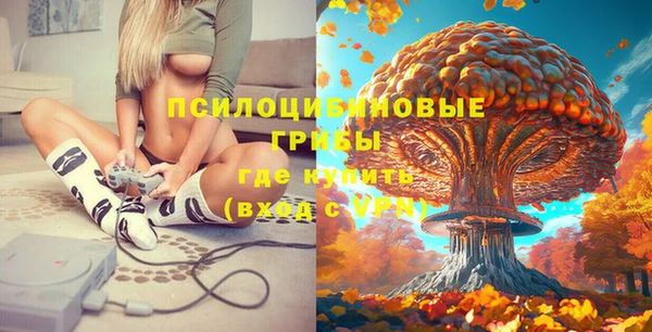 PSILOCYBIN Волосово