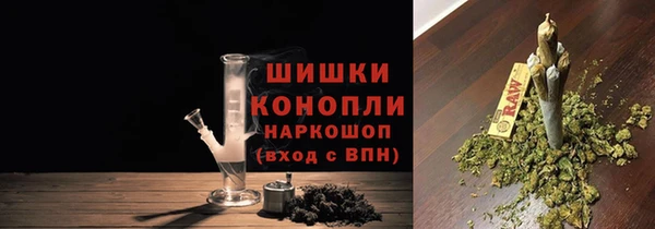 СК Покачи