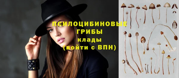 СК Покачи