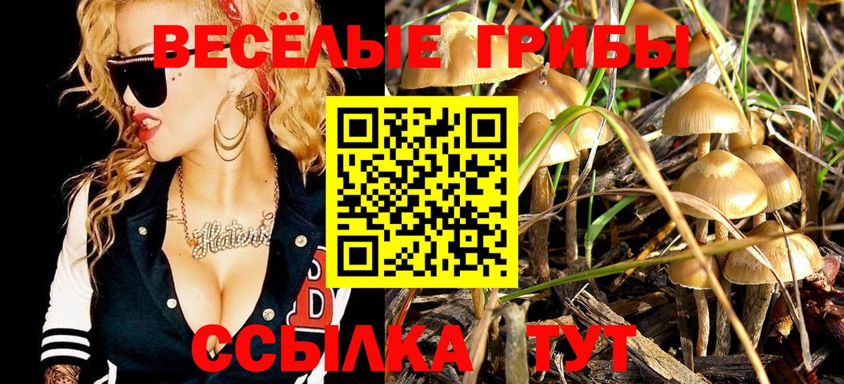 Галлюциногенные грибы GOLDEN TEACHER Североуральск