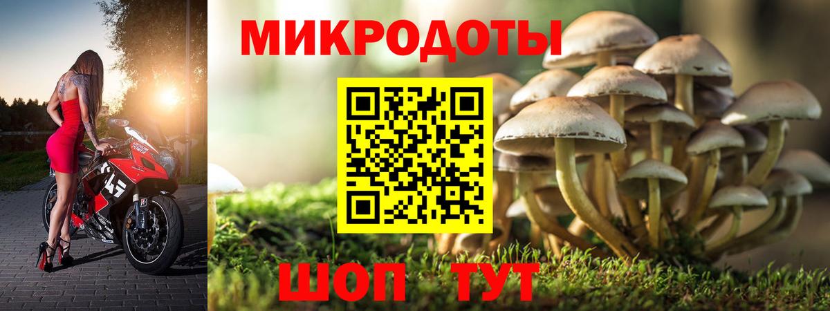 Псилоцибиновые грибы Psilocybe  Вход с VPN  Североуральск 