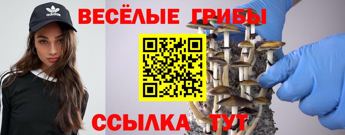 Галлюциногенные грибы Cubensis  купить   Североуральск 